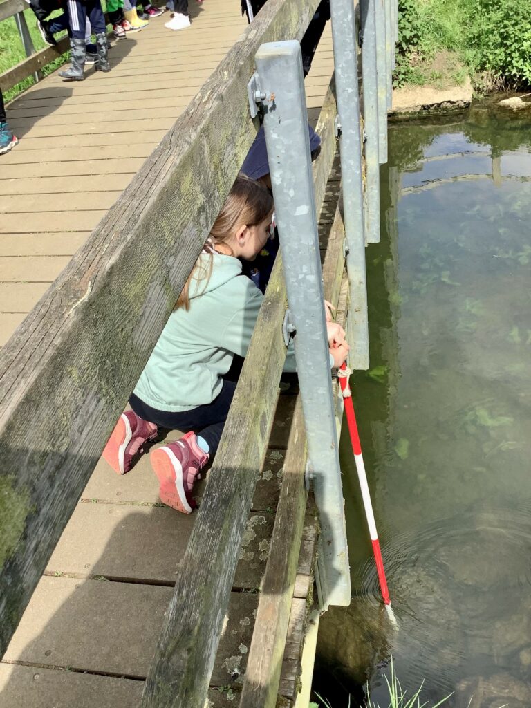 Year 5 Visit Nene Park - Bourne Elsea Park